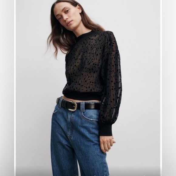 Zara Sheer Black Floral Long sleeve Top Blouse - Picture 1 of 7